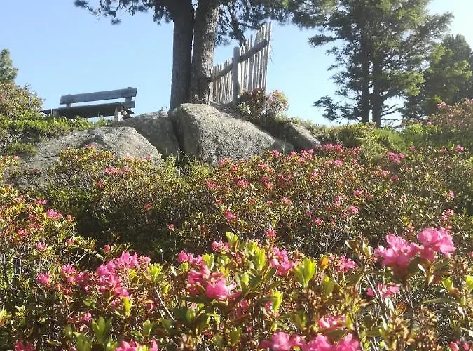 Apartmán Waldrast Finkenberg