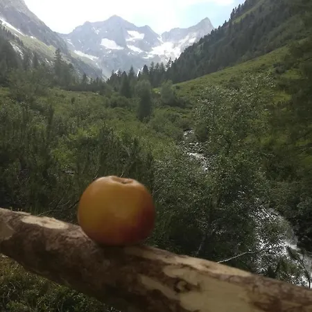 Apartment Waldrast *