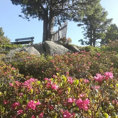 Apartment Waldrast Finkenberg