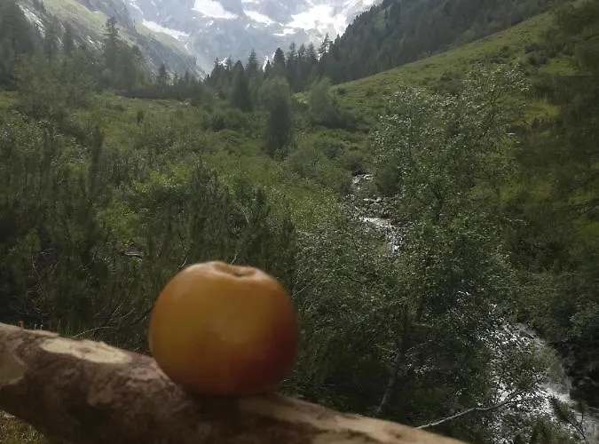 Apartment Waldrast *